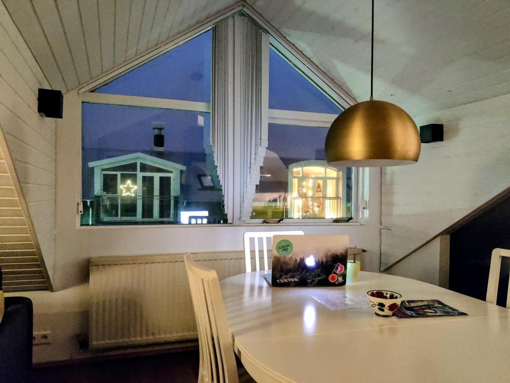Ruokapöydän äärestä näkymä kotikadulle Reykjavikissa